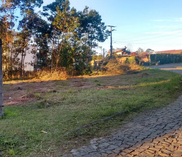 Terreno / Lote à venda, 389m2 em Nova Petropolis - RS - imagem 4 Foto 4 de Terreno / Lote à venda, 389m2 em Nova Petropolis - RS