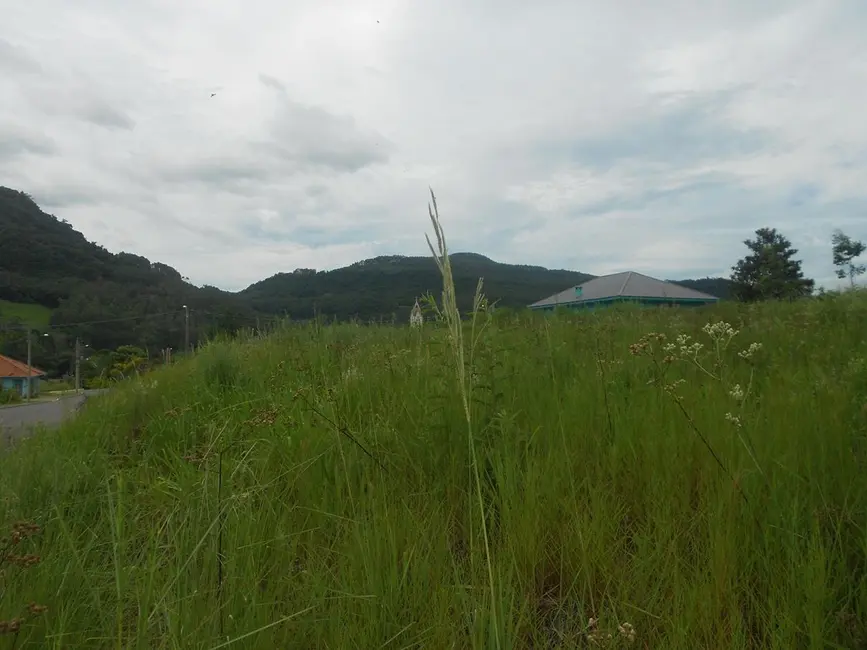 Terreno / Lote à venda, 401m2 em Picada Cafe - RS - imagem 7 Foto 7 de Terreno / Lote à venda, 401m2 em Picada Cafe - RS