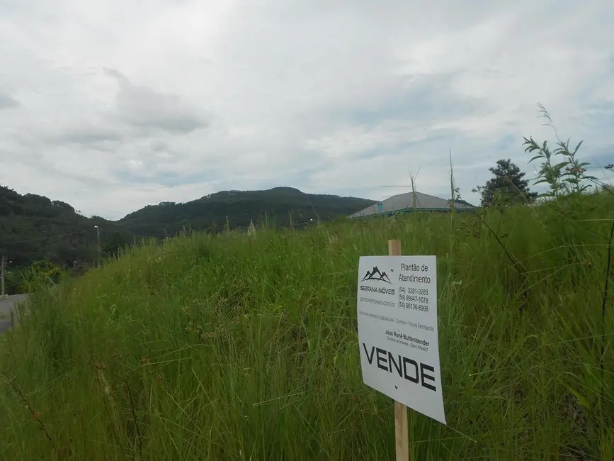 Terreno / Lote à venda, 403m2 em Picada Cafe - RS - imagem 7 Foto 7 de Terreno / Lote à venda, 403m2 em Picada Cafe - RS