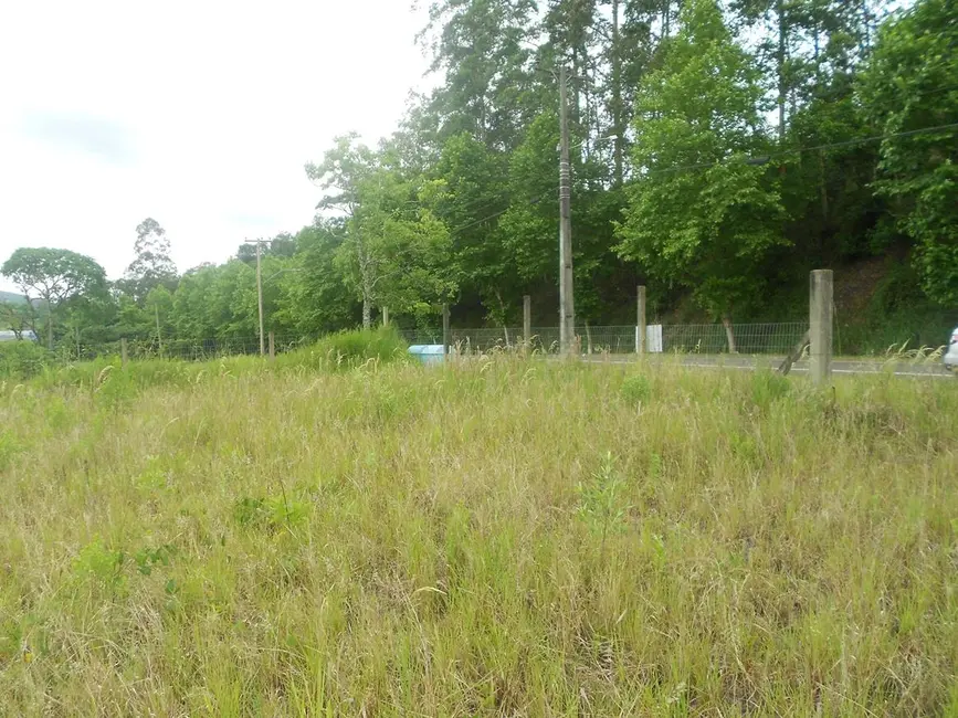 Terreno / Lote à venda, 2440m2 em Picada Cafe - RS - imagem 5 Foto 5 de Terreno / Lote à venda, 2440m2 em Picada Cafe - RS