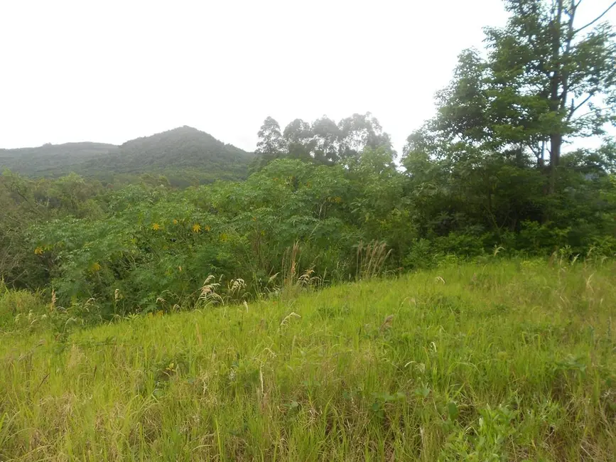 Terreno / Lote à venda, 2440m2 em Picada Cafe - RS - imagem 3 Foto 3 de Terreno / Lote à venda, 2440m2 em Picada Cafe - RS