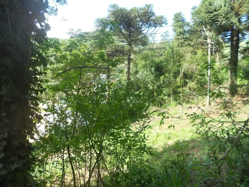 Terreno / Lote à venda, 2500m2 em Nova Petropolis - RS - imagem 9 Foto 9 de Terreno / Lote à venda, 2500m2 em Nova Petropolis - RS