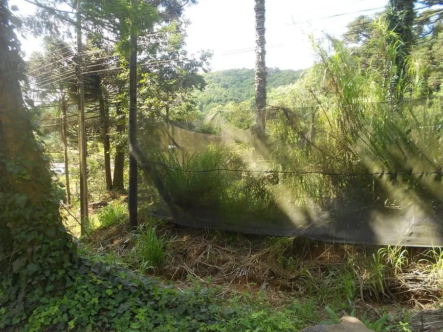 Terreno / Lote à venda, 2500m2 em Nova Petropolis - RS - imagem 5 Foto 5 de Terreno / Lote à venda, 2500m2 em Nova Petropolis - RS