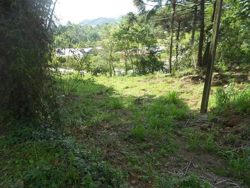 Terreno / Lote à venda, 2500m2 em Nova Petropolis - RS - imagem 7 Foto 7 de Terreno / Lote à venda, 2500m2 em Nova Petropolis - RS