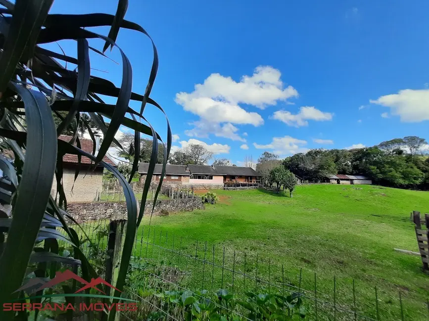 Sítio / Rancho com 3 quartos à venda, 445m2 em Nova Petropolis - RS - imagem 9 Foto 9 de Sítio / Rancho com 3 quartos à venda, 445m2 em Nova Petropolis - RS