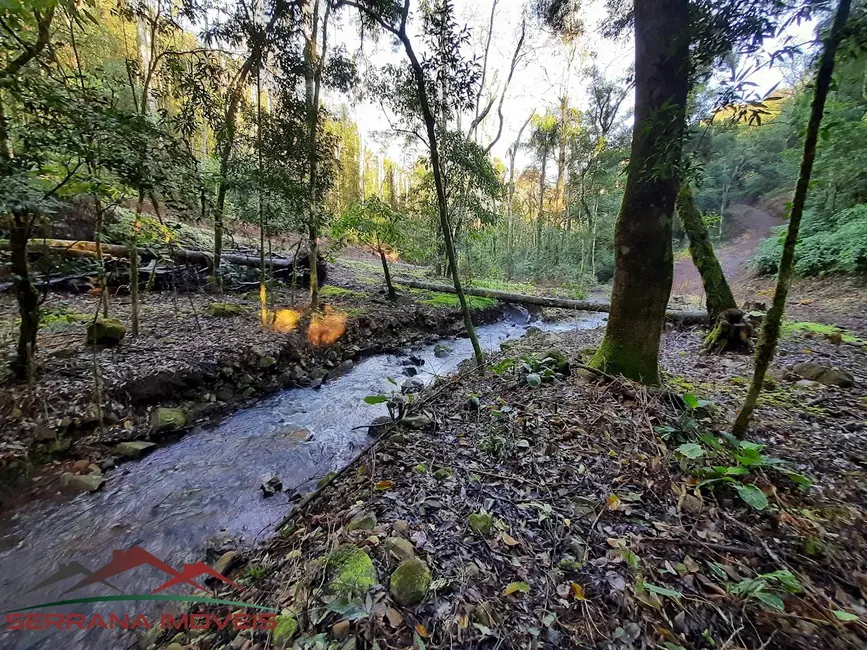 Foto 5 de Sítio / Rancho com 2 quartos à venda, 156m2 em Nova Petropolis - RS