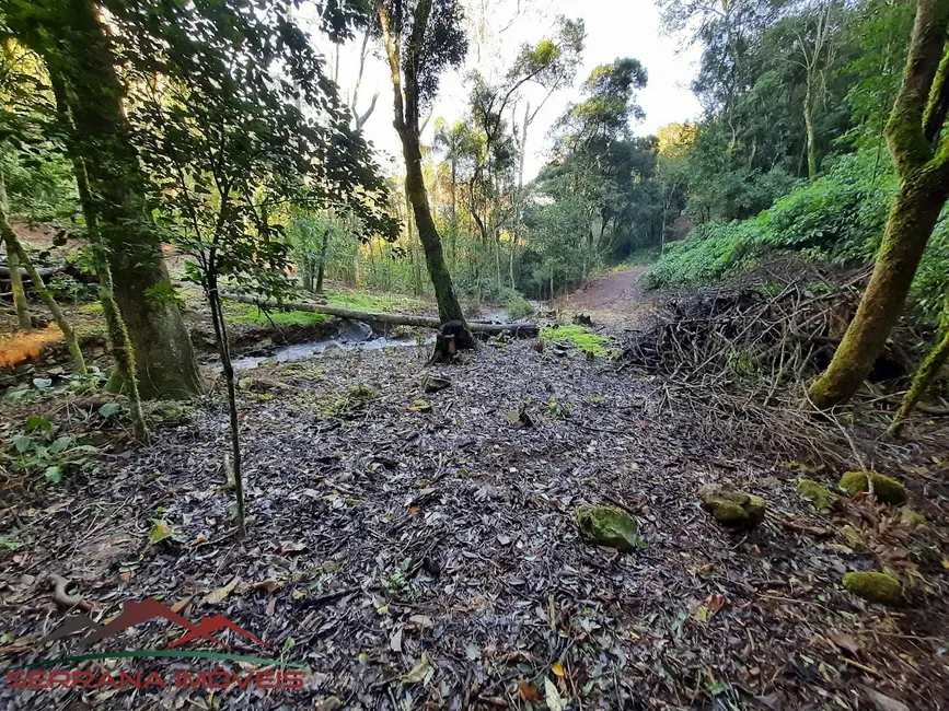 Foto 4 de Sítio / Rancho com 2 quartos à venda, 156m2 em Nova Petropolis - RS