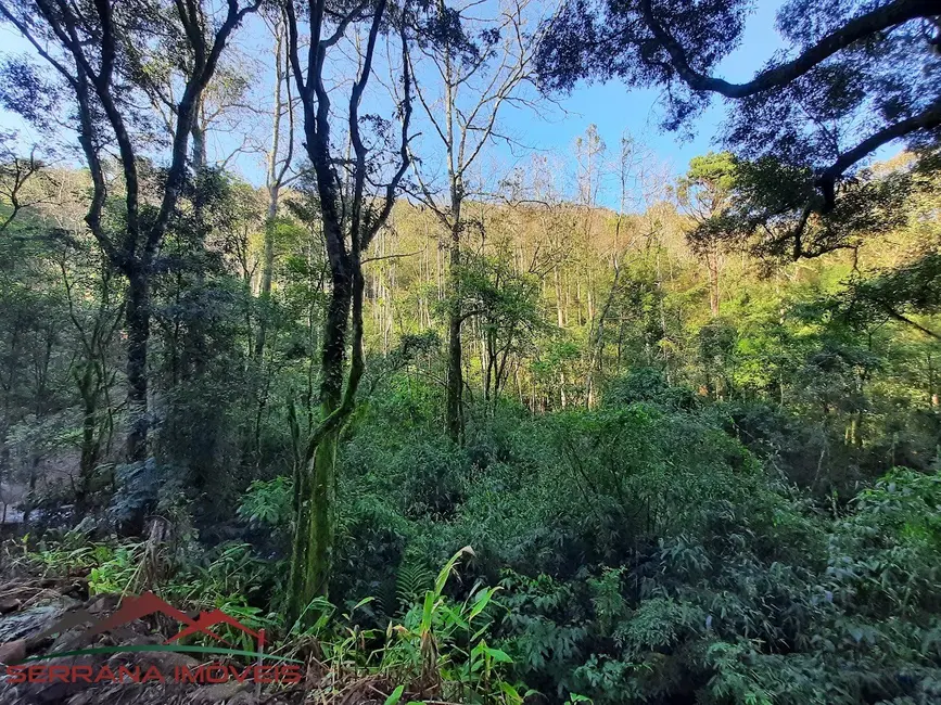 Foto 3 de Sítio / Rancho com 2 quartos à venda, 156m2 em Nova Petropolis - RS