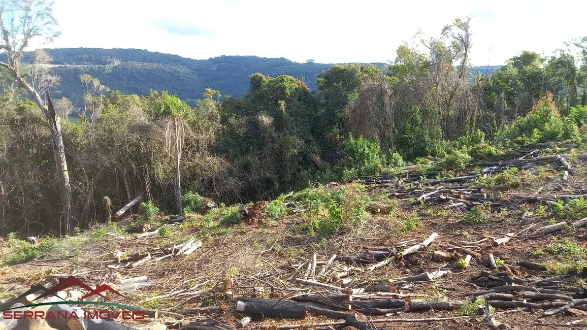 Sítio / Rancho à venda, 20000m2 em Nova Petropolis - RS - imagem 4 Foto 4 de Sítio / Rancho à venda, 20000m2 em Nova Petropolis - RS