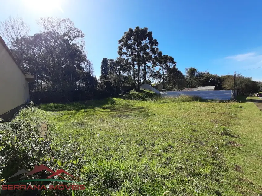 Foto 2 de Terreno / Lote à venda, 452m2 em Nova Petropolis - RS