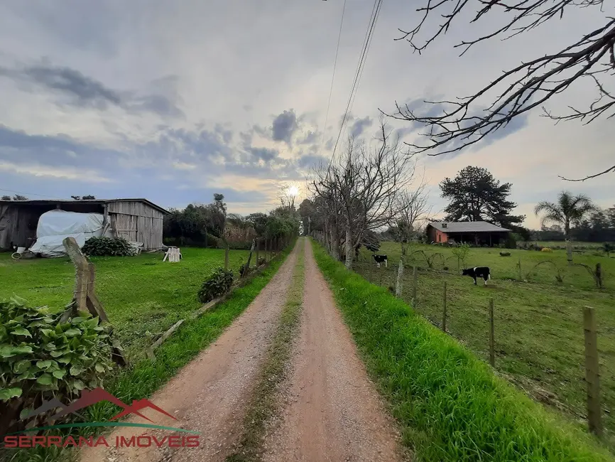 Foto 3 de Sítio / Rancho com 2 quartos à venda, 65m2 em Nova Petropolis - RS