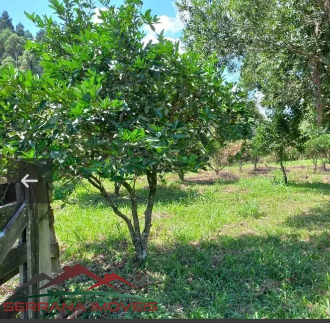 Sítio / Rancho à venda em Nova Petropolis - RS - imagem 6 Foto 6 de Sítio / Rancho à venda em Nova Petropolis - RS
