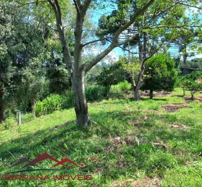 Sítio / Rancho à venda em Nova Petropolis - RS - imagem 7 Foto 7 de Sítio / Rancho à venda em Nova Petropolis - RS