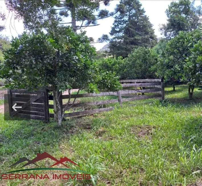 Sítio / Rancho à venda em Nova Petropolis - RS - imagem 8 Foto 8 de Sítio / Rancho à venda em Nova Petropolis - RS