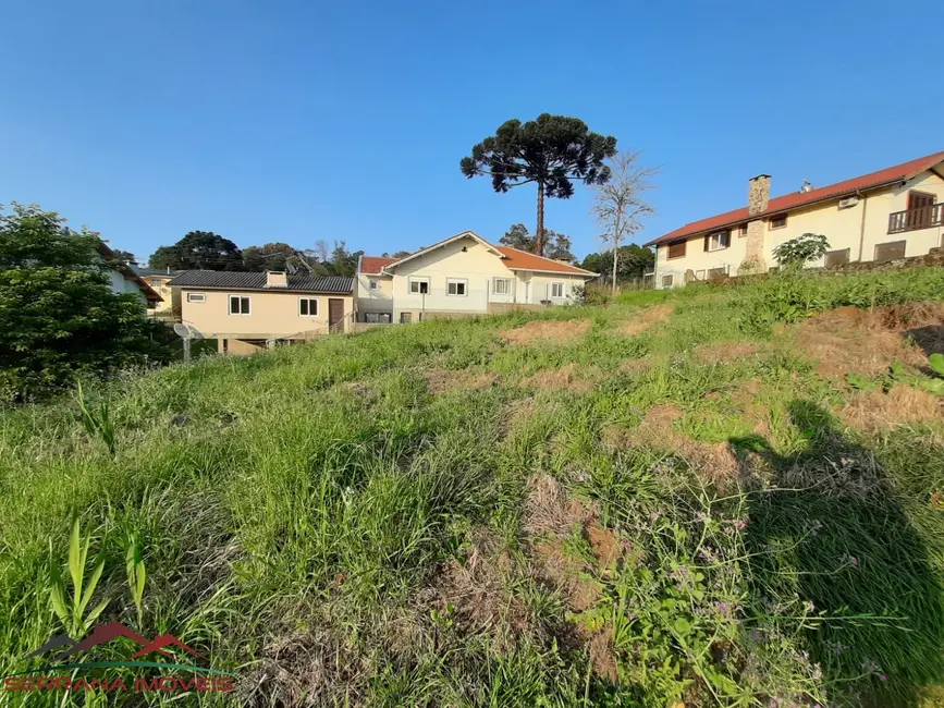 Foto 1 de Terreno / Lote à venda, 901m2 em Nova Petropolis - RS