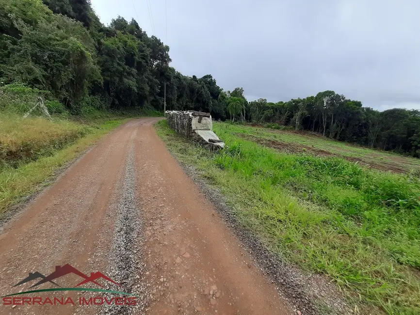 Foto 1 de Sítio / Rancho à venda, 15729m2 em Nova Petropolis - RS