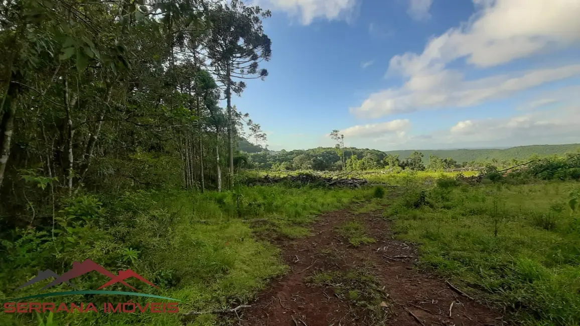 Foto 2 de Terreno / Lote à venda, 20000m2 em Nova Petropolis - RS