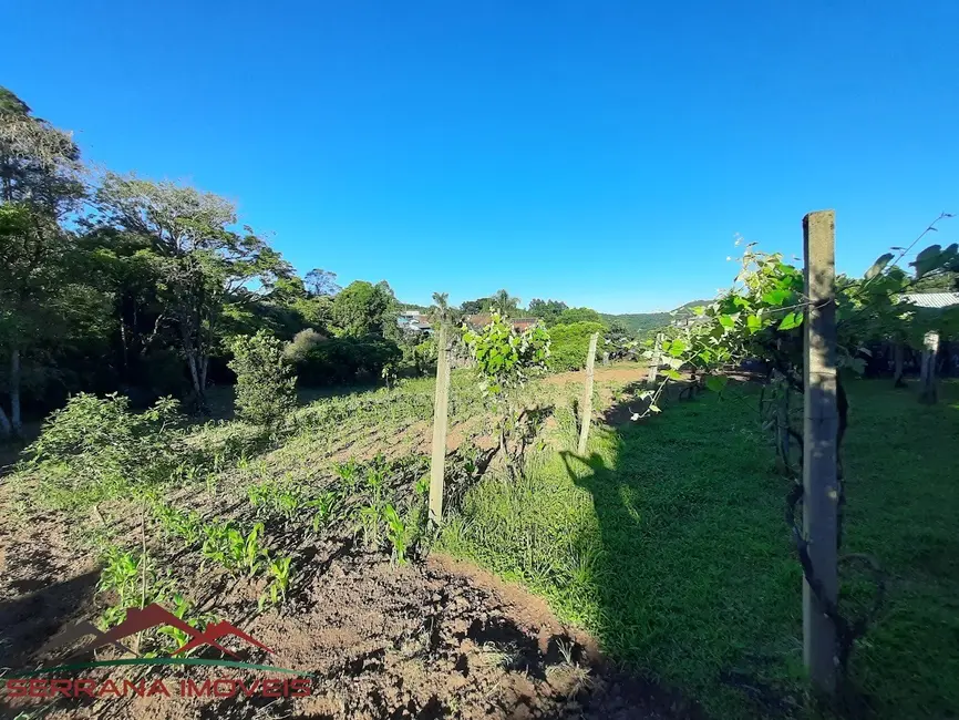 Terreno / Lote à venda, 1577m2 em Nova Petropolis - RS - imagem 5 Foto 5 de Terreno / Lote à venda, 1577m2 em Nova Petropolis - RS