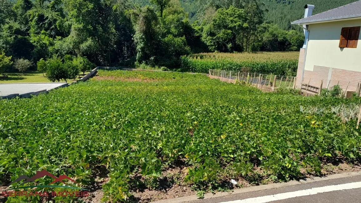 Terreno / Lote à venda, 841m2 em Centro, Picada Cafe - RS - imagem 2 Foto 2 de Terreno / Lote à venda, 841m2 em Centro, Picada Cafe - RS