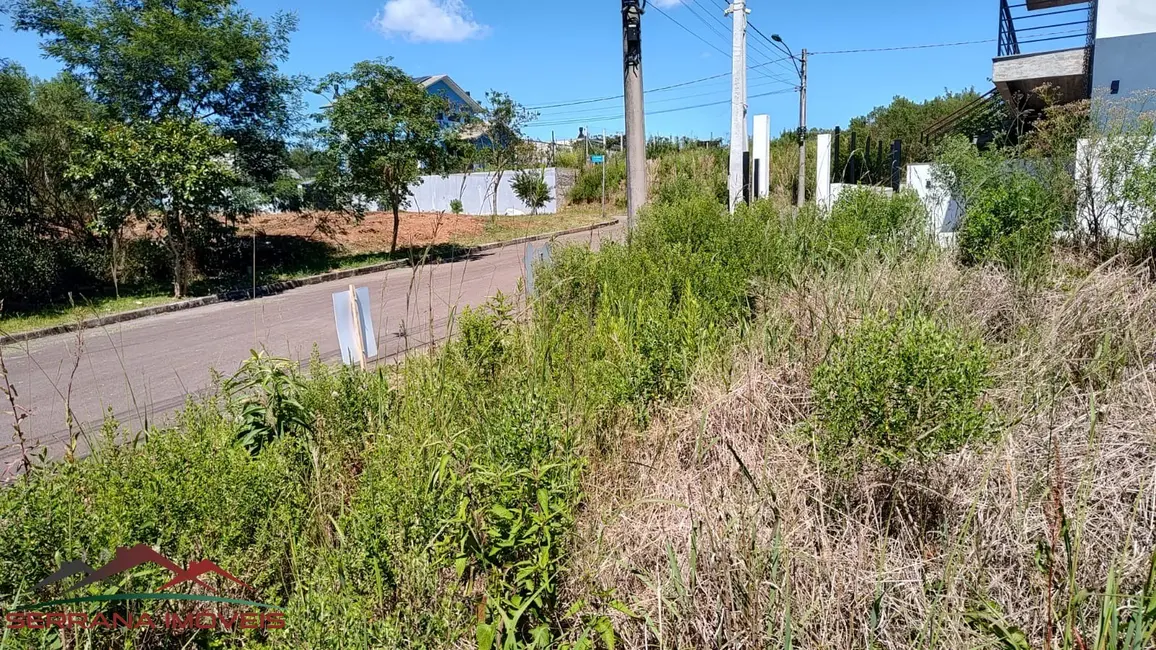 Foto 3 de Terreno / Lote à venda, 375m2 em Nova Petropolis - RS