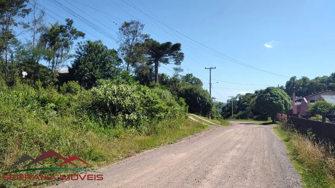 Foto 3 de Terreno / Lote à venda, 900m2 em Nova Petropolis - RS