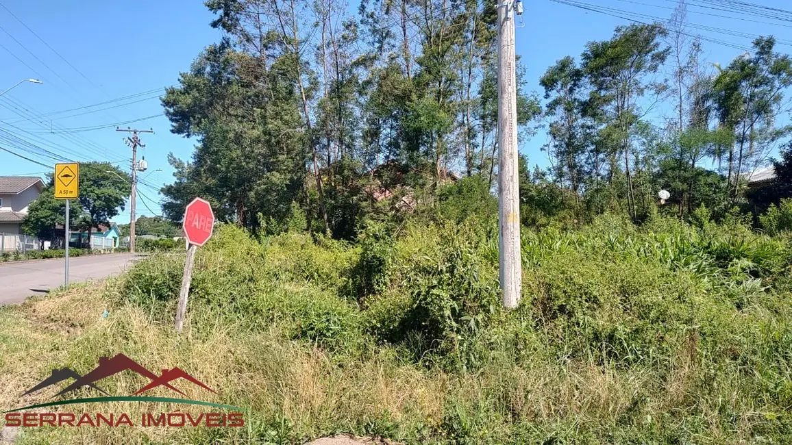 Foto 5 de Terreno / Lote à venda, 900m2 em Nova Petropolis - RS