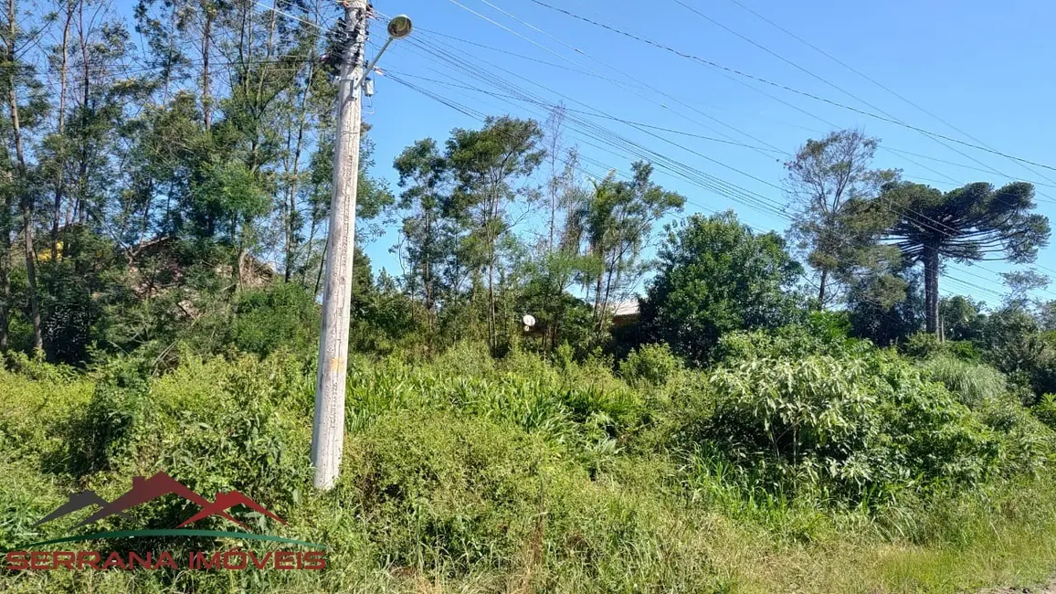 Foto 4 de Terreno / Lote à venda, 900m2 em Nova Petropolis - RS
