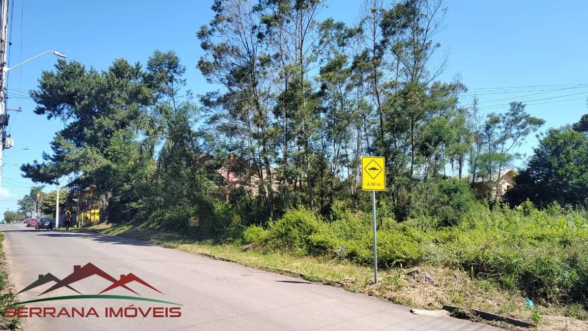 Foto 7 de Terreno / Lote à venda, 900m2 em Nova Petropolis - RS