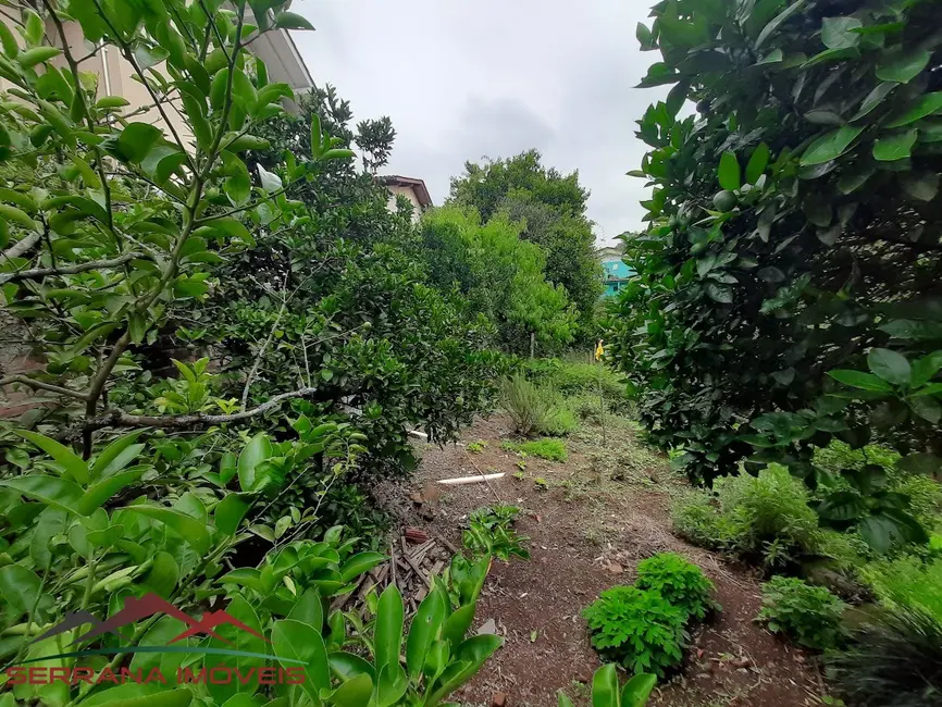 Casa com 4 quartos à venda, 160m2 em Nova Petropolis - RS - imagem 4 Foto 4 de Casa com 4 quartos à venda, 160m2 em Nova Petropolis - RS