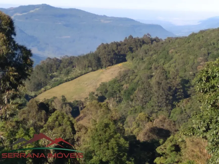 Foto 2 de Sítio / Rancho com 5 quartos à venda, 298m2 em Nova Petropolis - RS