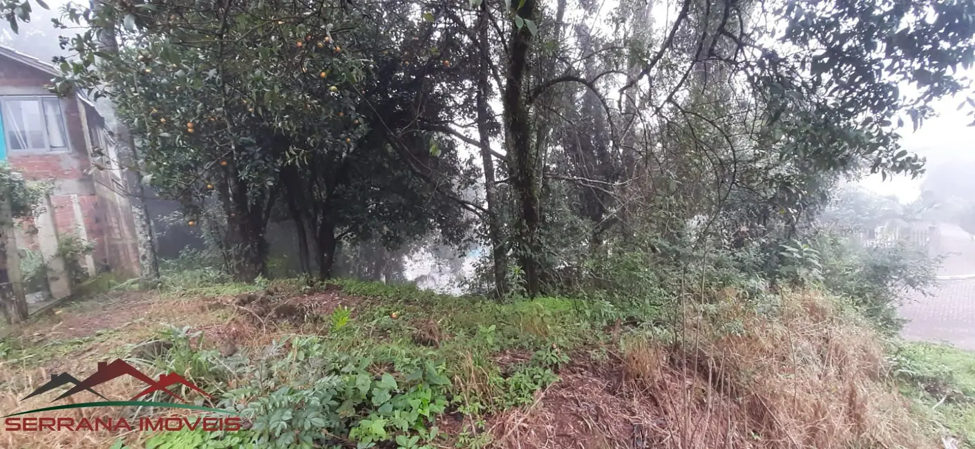 Terreno / Lote à venda, 406m2 em Nova Petropolis - RS - imagem 4 Foto 4 de Terreno / Lote à venda, 406m2 em Nova Petropolis - RS