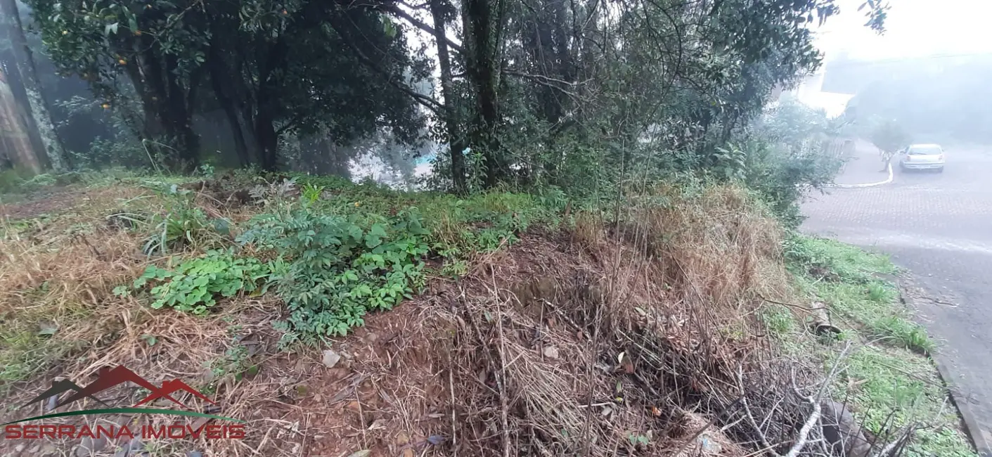 Terreno / Lote à venda, 406m2 em Nova Petropolis - RS - imagem 3 Foto 3 de Terreno / Lote à venda, 406m2 em Nova Petropolis - RS