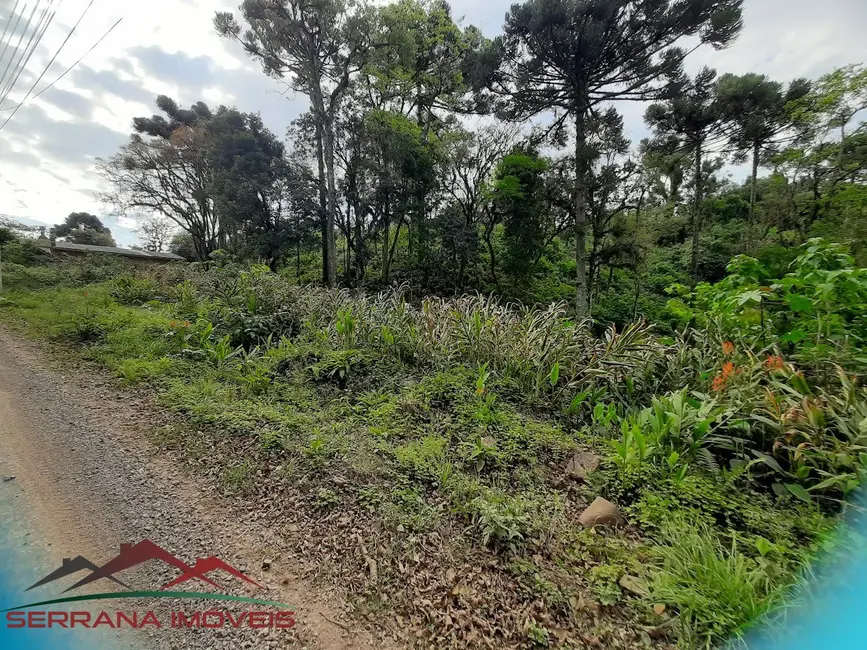 Terreno / Lote à venda, 552m2 em Nova Petropolis - RS - imagem 1 Foto 1 de Terreno / Lote à venda, 552m2 em Nova Petropolis - RS