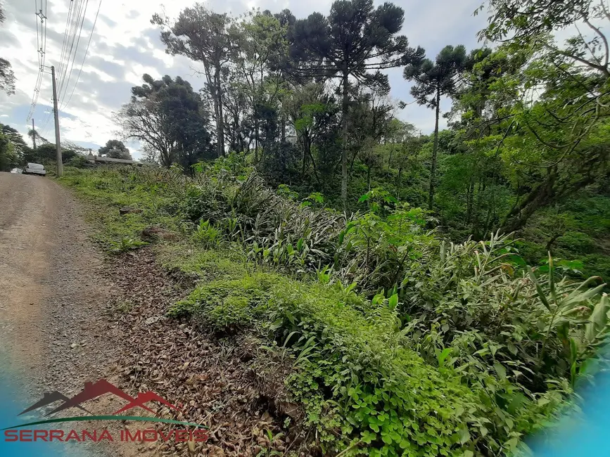 Terreno / Lote à venda, 552m2 em Nova Petropolis - RS - imagem 5 Foto 5 de Terreno / Lote à venda, 552m2 em Nova Petropolis - RS