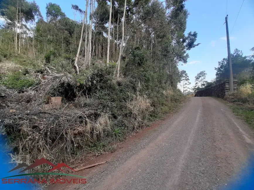 Terreno / Lote à venda em Nova Petropolis - RS - imagem 5 Foto 5 de Terreno / Lote à venda em Nova Petropolis - RS