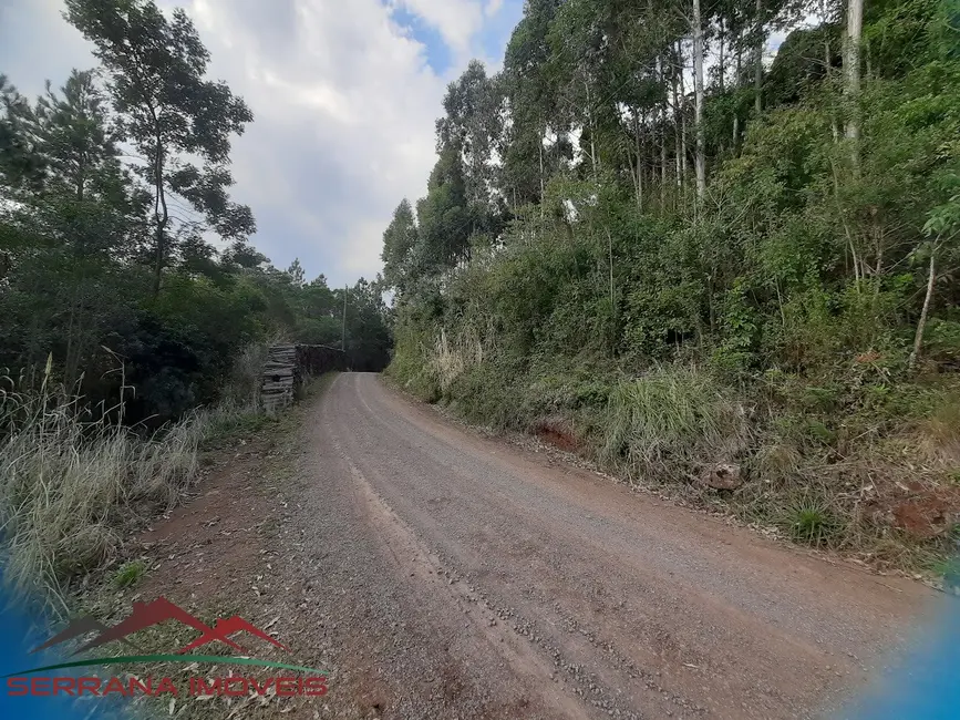 Terreno / Lote à venda em Nova Petropolis - RS - imagem 3 Foto 3 de Terreno / Lote à venda em Nova Petropolis - RS