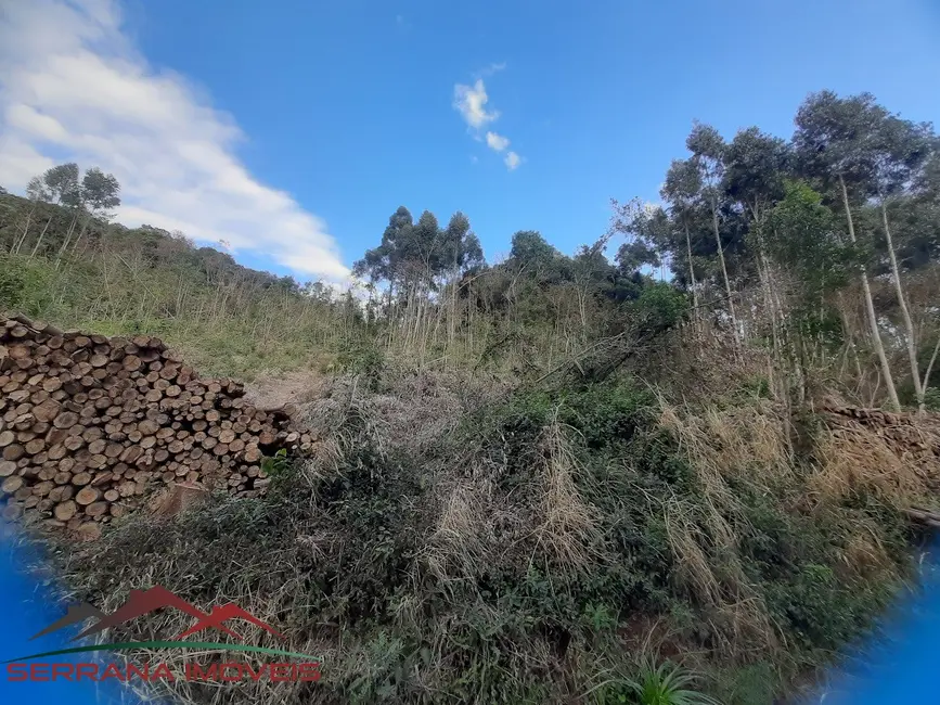 Terreno / Lote à venda em Nova Petropolis - RS - imagem 6 Foto 6 de Terreno / Lote à venda em Nova Petropolis - RS