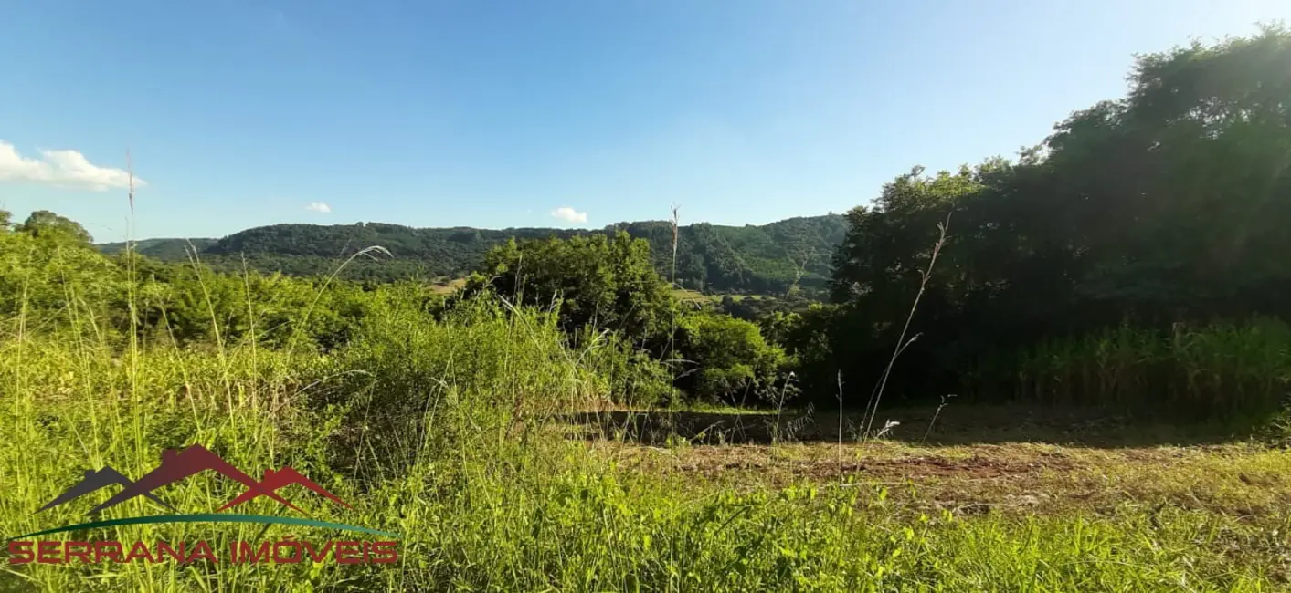 Foto 2 de Chácara com 4 quartos à venda, 10000m2 em Nova Petropolis - RS