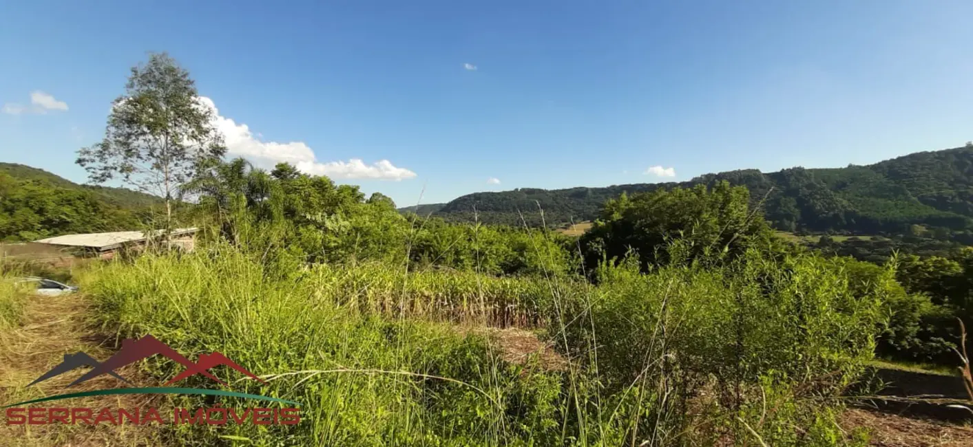 Foto 4 de Chácara com 4 quartos à venda, 10000m2 em Nova Petropolis - RS