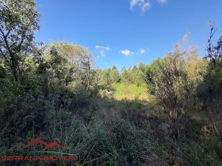 Foto 2 de Terreno / Lote à venda, 117m2 em Gramado - RS