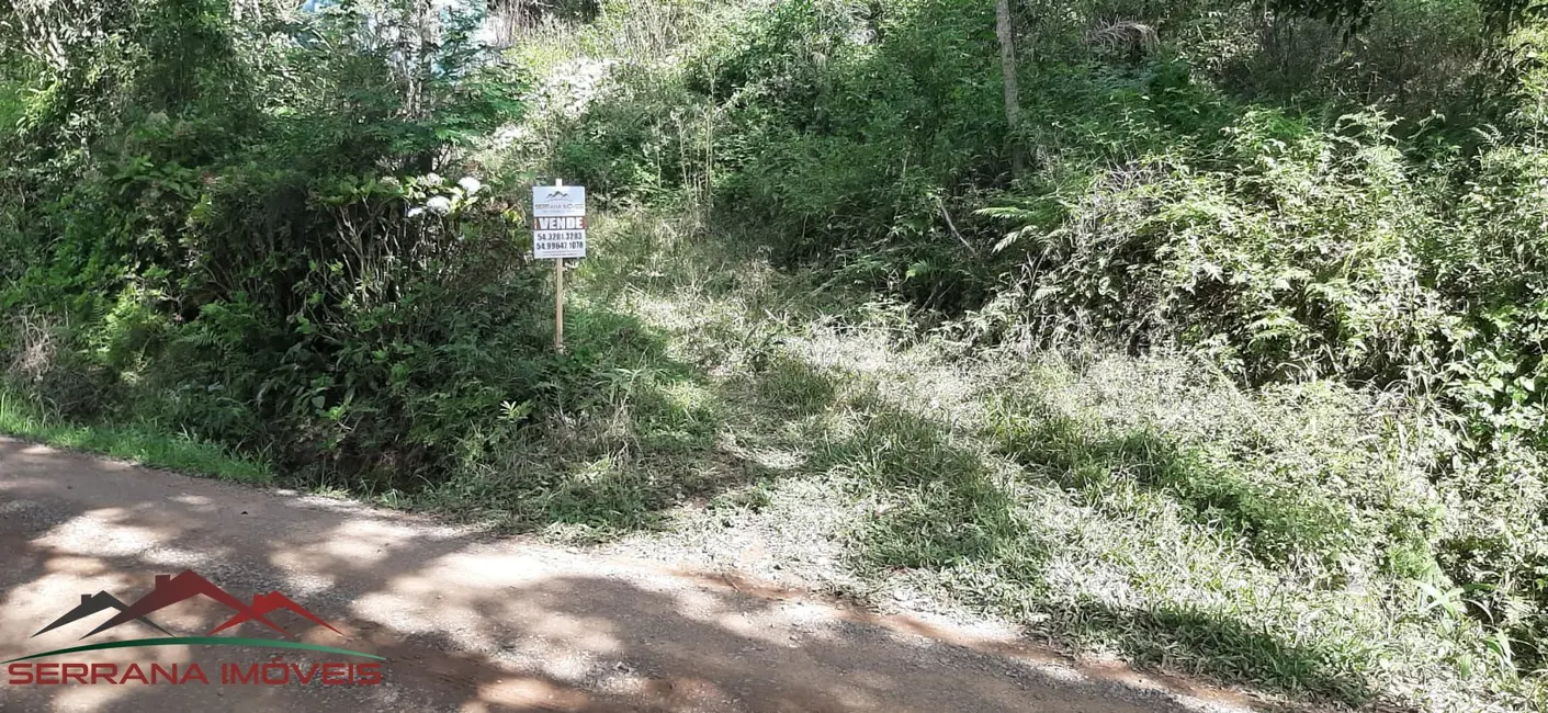 Foto 4 de Terreno / Lote à venda, 20000m2 em Nova Petropolis - RS