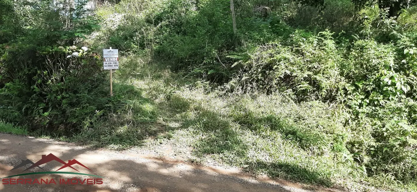 Foto 3 de Terreno / Lote à venda, 20000m2 em Nova Petropolis - RS