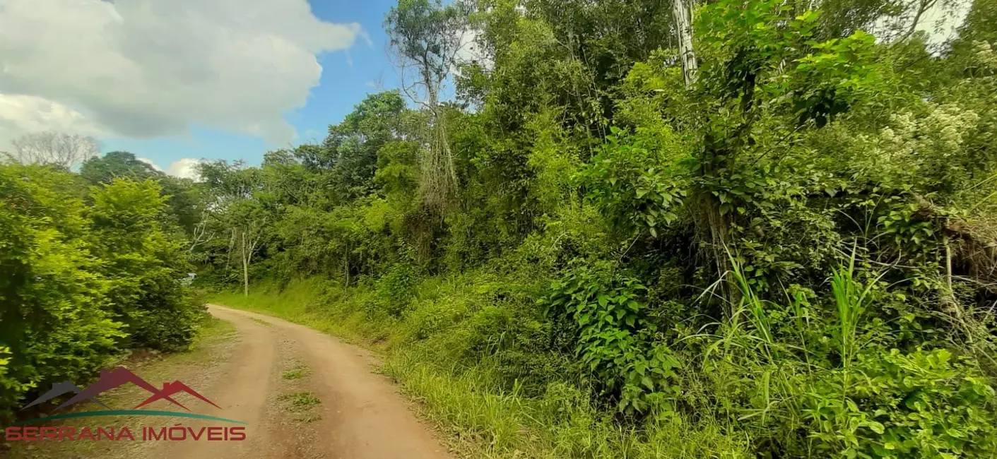 Foto 7 de Terreno / Lote à venda, 20000m2 em Nova Petropolis - RS