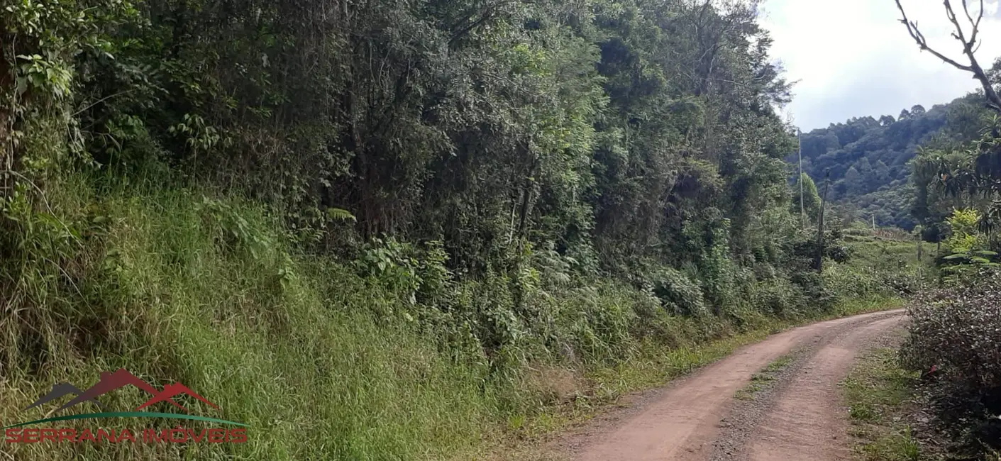 Foto 9 de Terreno / Lote à venda, 20000m2 em Nova Petropolis - RS