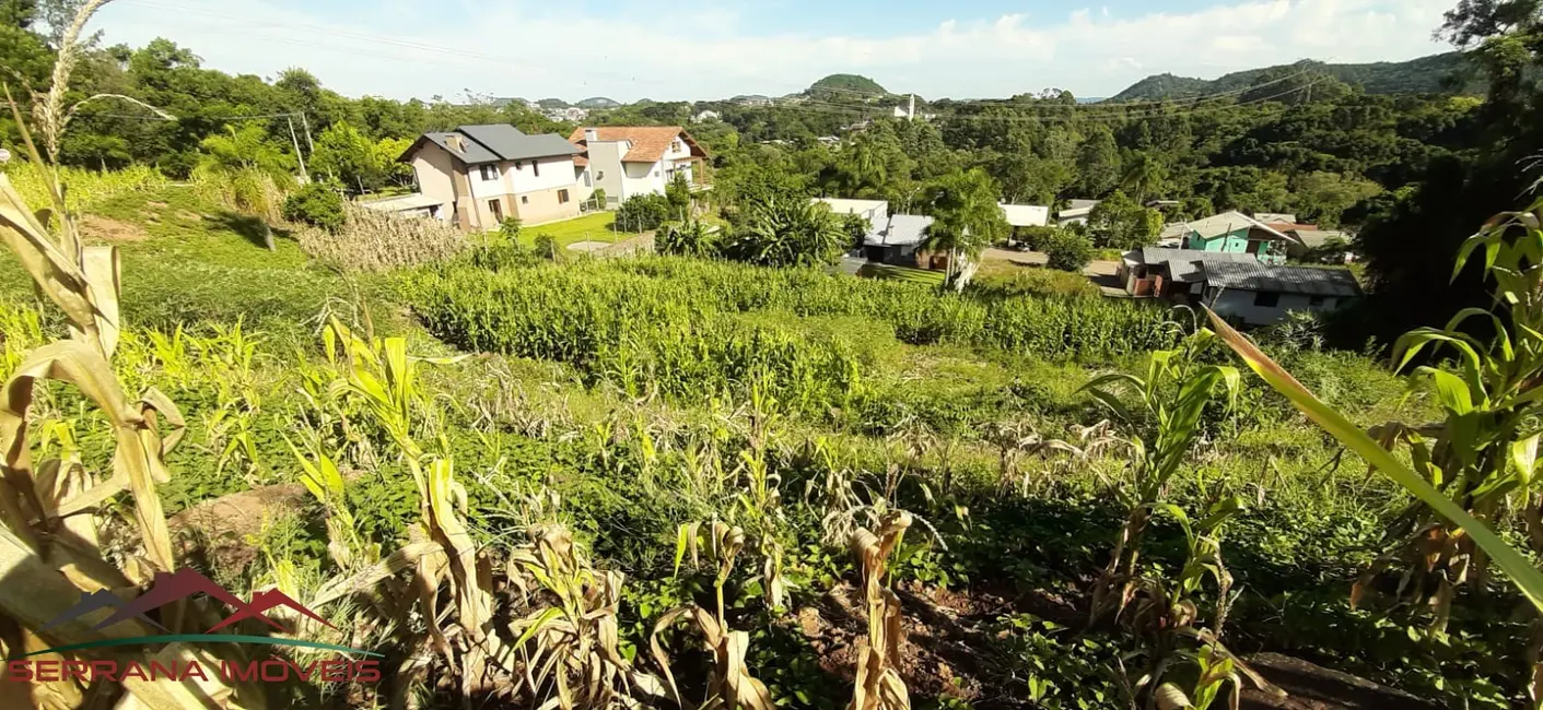 Terreno / Lote à venda, 779m2 em Nova Petropolis - RS - imagem 5 Foto 5 de Terreno / Lote à venda, 779m2 em Nova Petropolis - RS