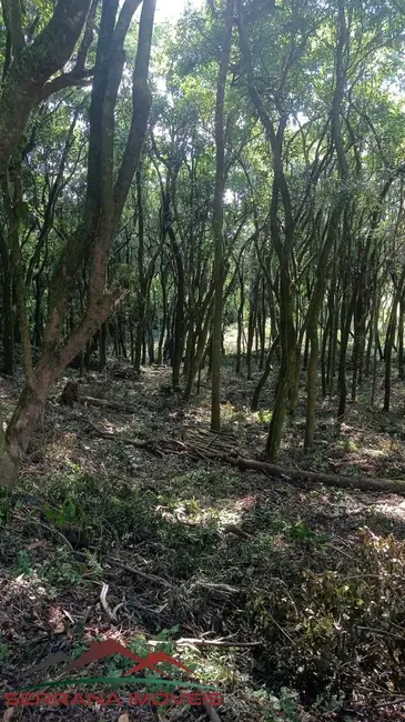 Foto 3 de Terreno / Lote à venda, 20074m2 em Linha Nova - RS