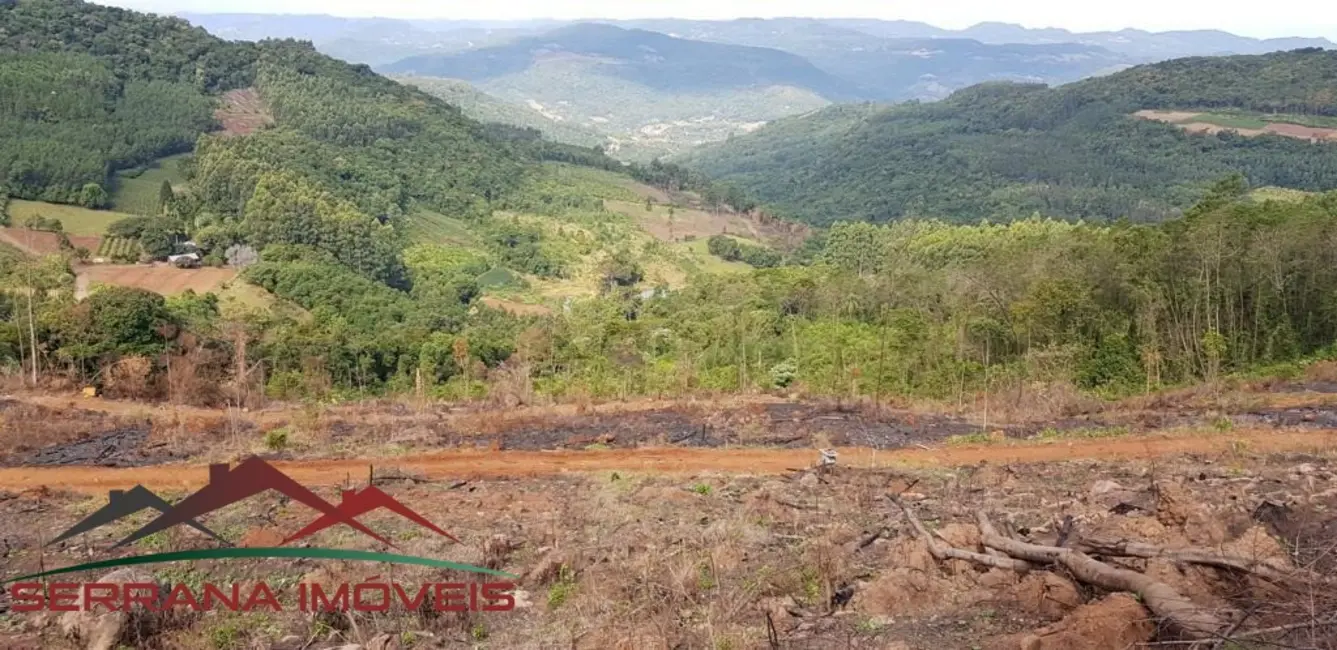 Foto 8 de Terreno / Lote à venda, 20074m2 em Linha Nova - RS