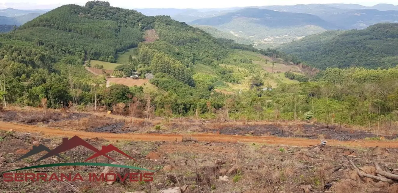 Foto 9 de Terreno / Lote à venda, 20074m2 em Linha Nova - RS