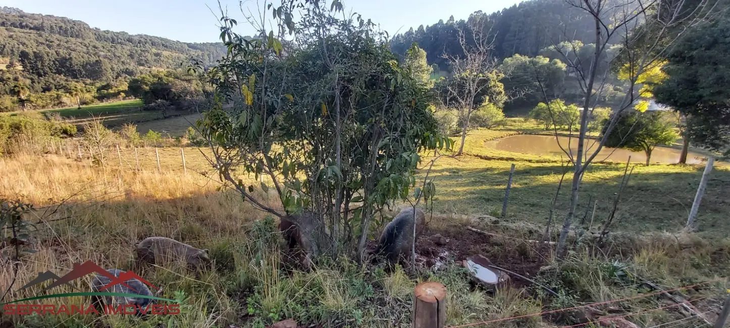Foto 1 de Terreno / Lote à venda, 20074m2 em Linha Nova - RS