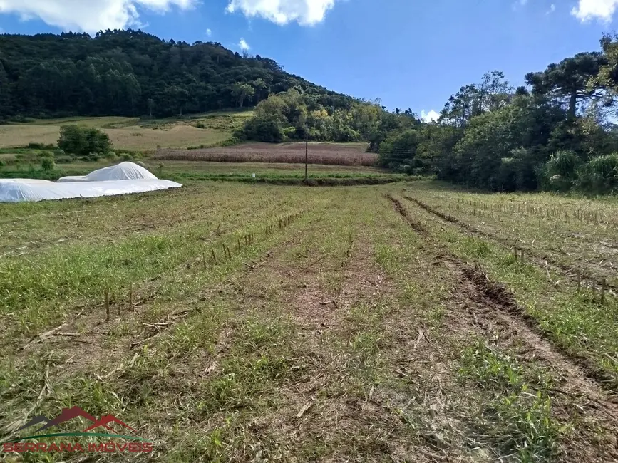 Terreno / Lote à venda em Nova Petropolis - RS - imagem 5 Foto 5 de Terreno / Lote à venda em Nova Petropolis - RS